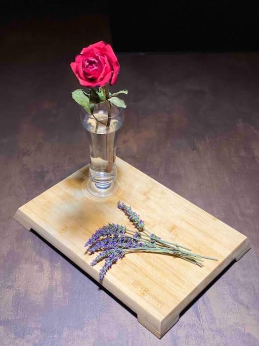 CecchinaThe Wild Lavender公寓 外观 照片